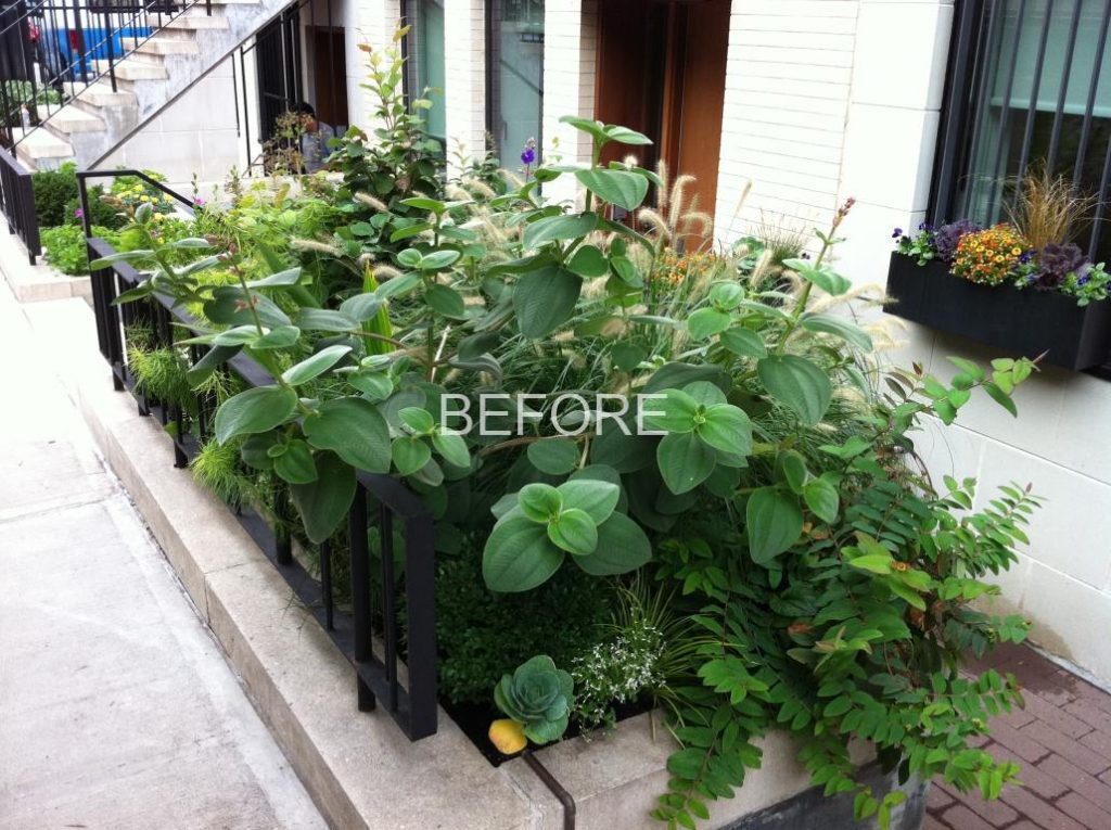 Brooklyn Sidewalk Planter