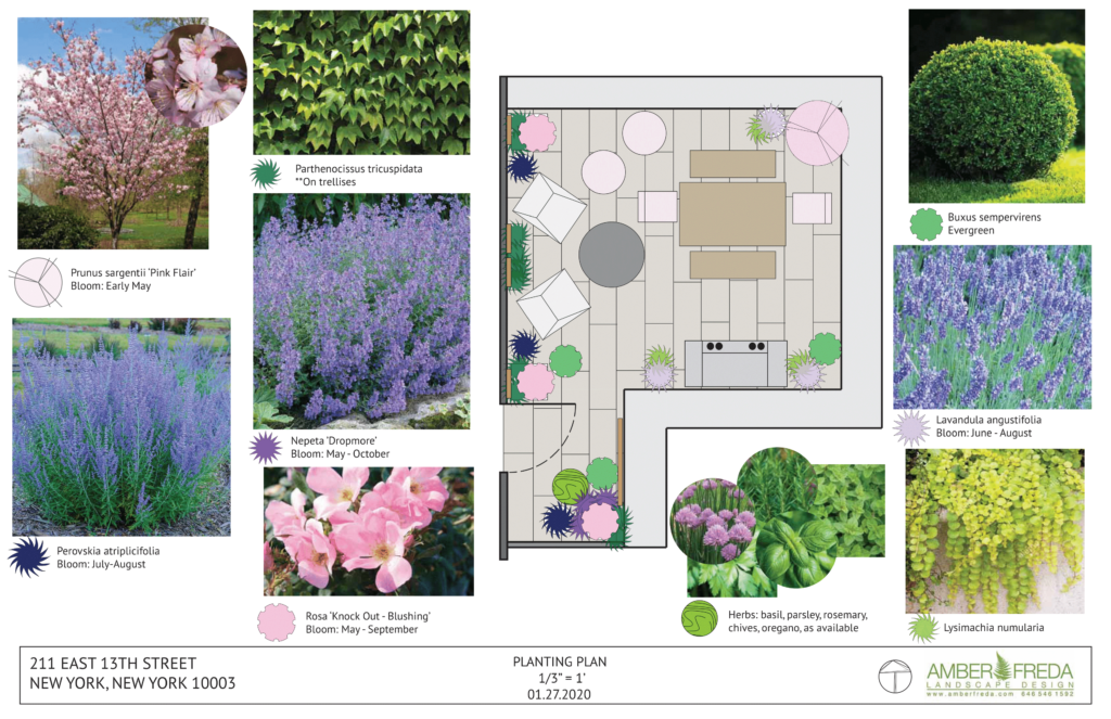Understanding the Custom Garden Design Process